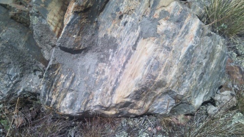 Гигантские зелёные валуны для ландшафтного дизайна весом более 5 тонн купить в Арамиле